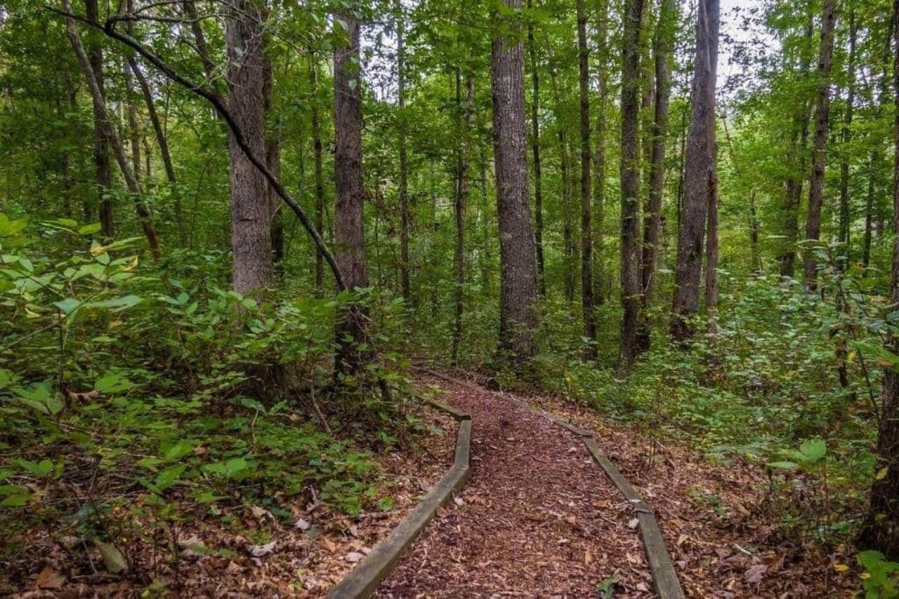 Serenity Escape Treehouse On 14 Acres Near Little River Canyon Fort Payne Exterior photo